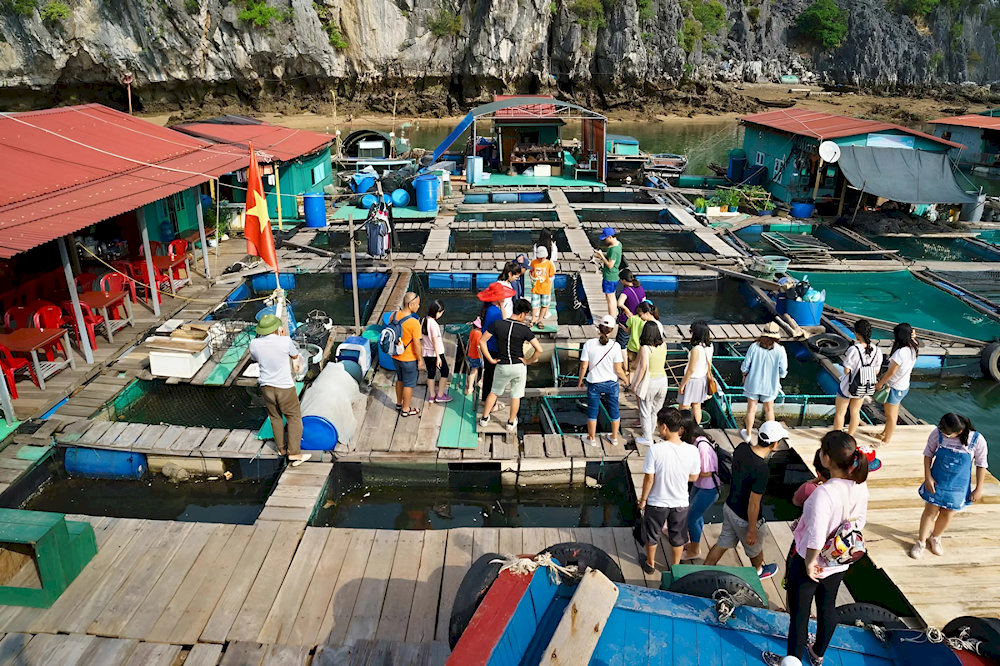 Visitors explore the floating fish farms 
